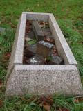 image of grave number 723788